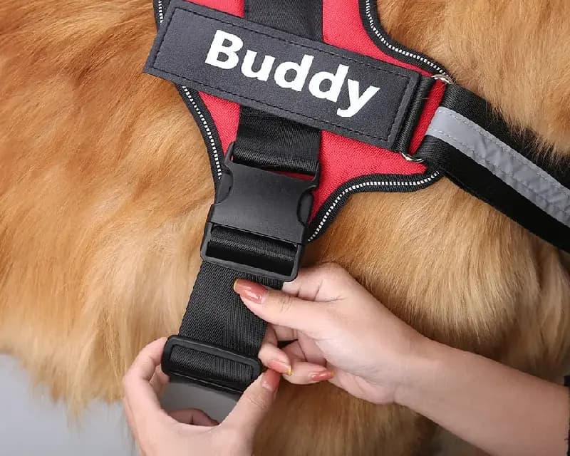 Hassle-free on and off