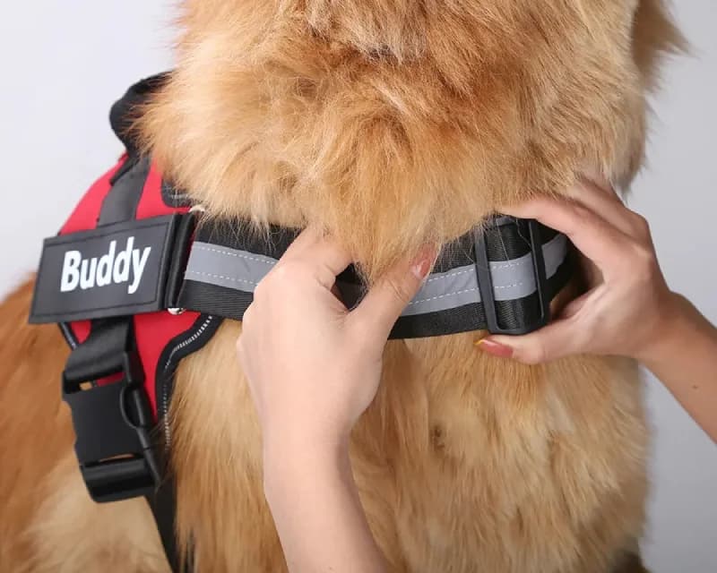 Adjustable neck and chest design