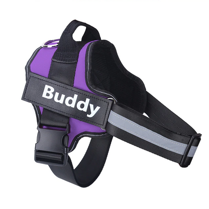 Personalised Dog Harness